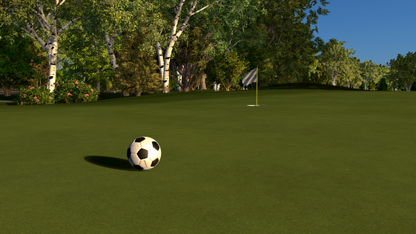 FSX Soccer Golf