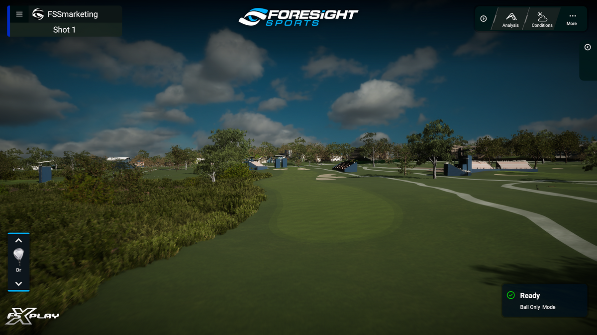 Foresight FSX Play Golf Shot View