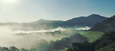 Elysian Gangchon CC - Refine+