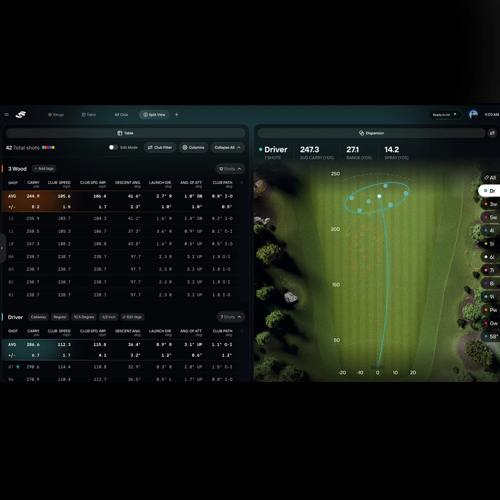 Foresight Premier Software