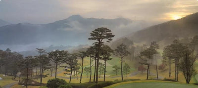 Namyangju CC - Refine