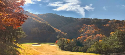 Pal Gong CC - Refine+