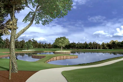 Full Swing E6 TPC Sawgrass #17 Golf Course