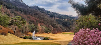 Tee Cloud CC - Refine+