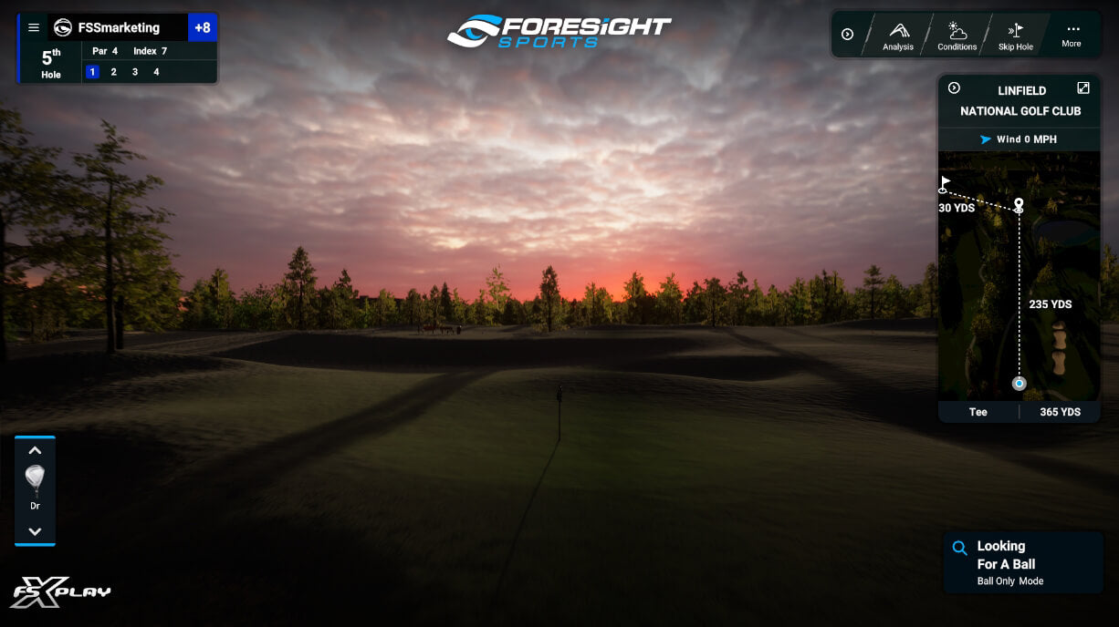 FSX Play Golf Course Image 5