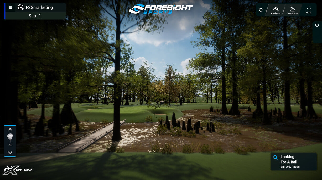 FSX Play Golf Course Image 4