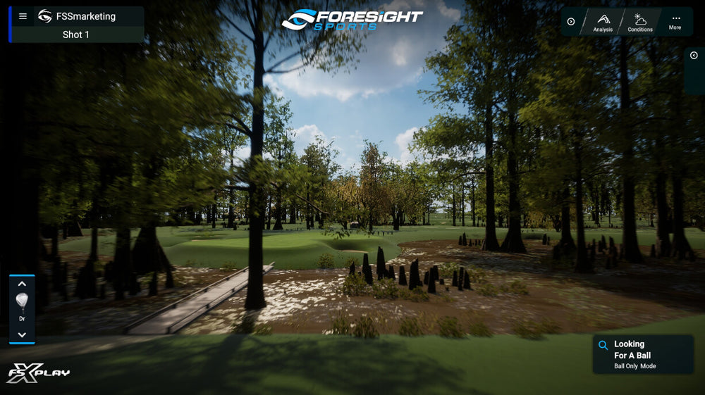 Foresight FSX Play Software Upgrade