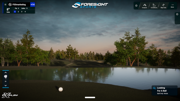 Golf Simulator Screen image: Ball by Water Hazard.